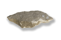 M 02643
<br/>
<br/>
<em></em>